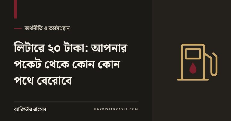 লিটারে ২০ টাকা: আপনার পকেট থেকে কোন কোন পথে বেরোবে